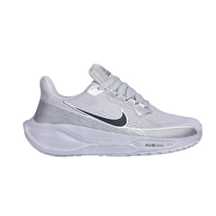Air Zoom Pegasus 41 Grey Silver